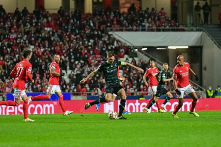 Benfica – Dynamo: figures and facts