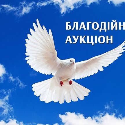 ФК «Динамо» Київ оголошує про проведення нового благодійного аукціону!