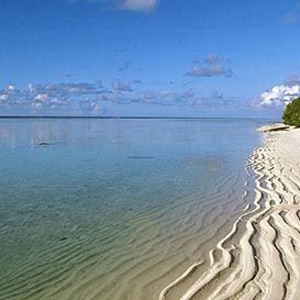 Відпустка динамівців: від Сан-Паулу до Домінікани