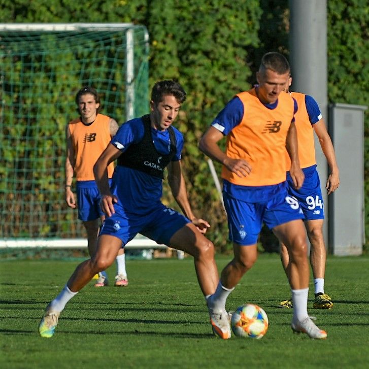 Dynamo training day: theory and practice