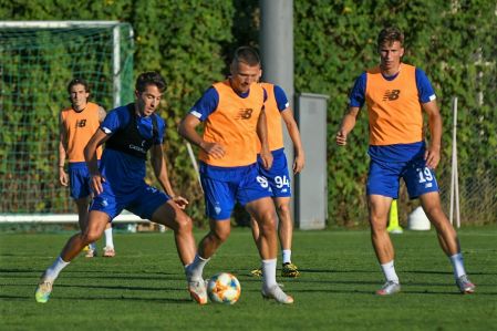 Dynamo training day: theory and practice