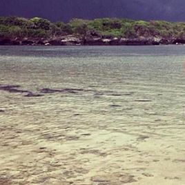 Serhiy RYBALKA having rest in Bali