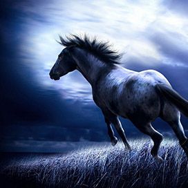 «Динамо» Київ у рік Синього Коня. 1966 рік