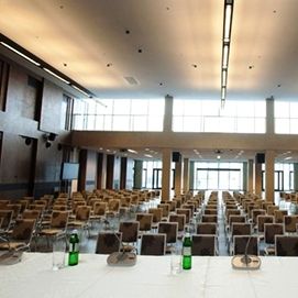 Dynamo – Steaua. Time for press conferences and open training sessions