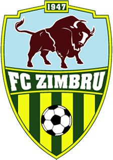 Fc Zimbru Chisinau Logo